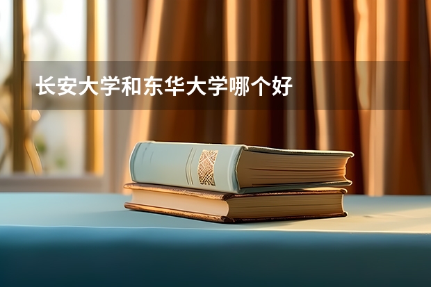 长安大学和东华大学哪个好