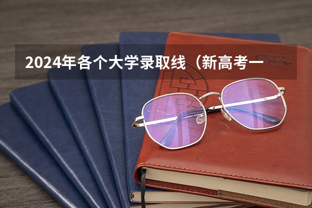 2024年各个大学录取线（新高考一卷分数线排行）