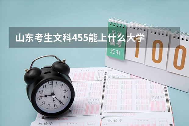 山东考生文科455能上什么大学