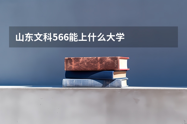 山东文科566能上什么大学