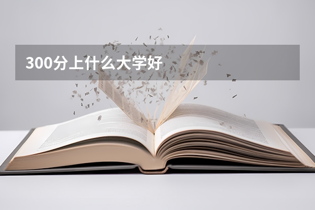 300分上什么大学好