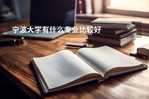 宁波大学有什么专业比较好