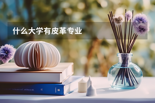 什么大学有皮革专业
