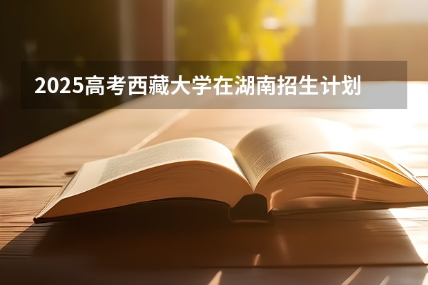 2025高考西藏大学在湖南招生计划介绍