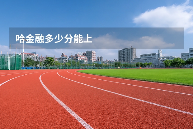 哈金融多少分能上