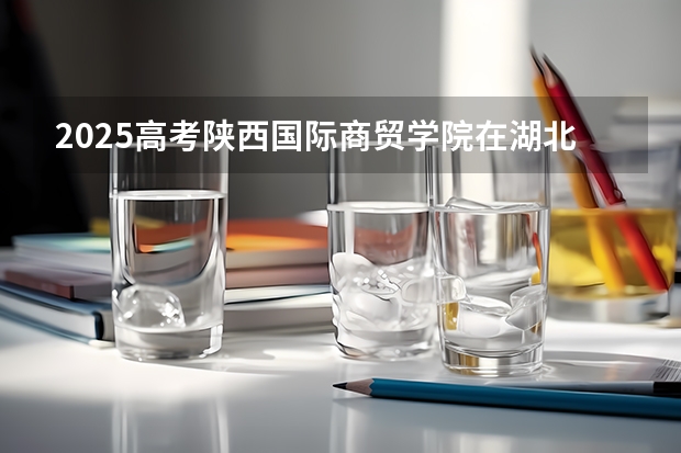 2025高考陕西国际商贸学院在湖北招生计划介绍