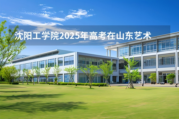 沈阳工学院2025年高考在山东艺术类投档分数线