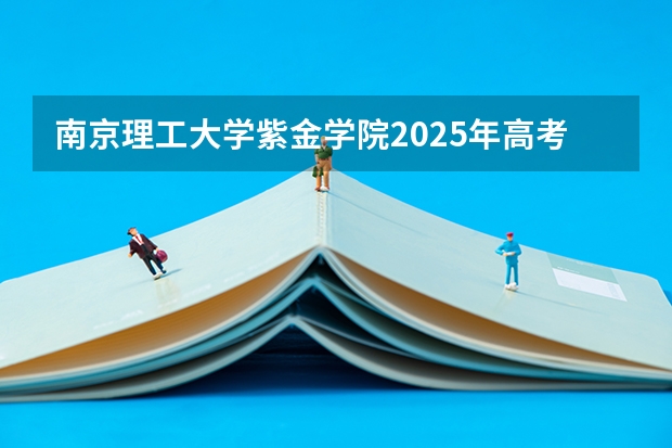 南京理工大学紫金学院2025年高考在江苏艺术类投档分数线