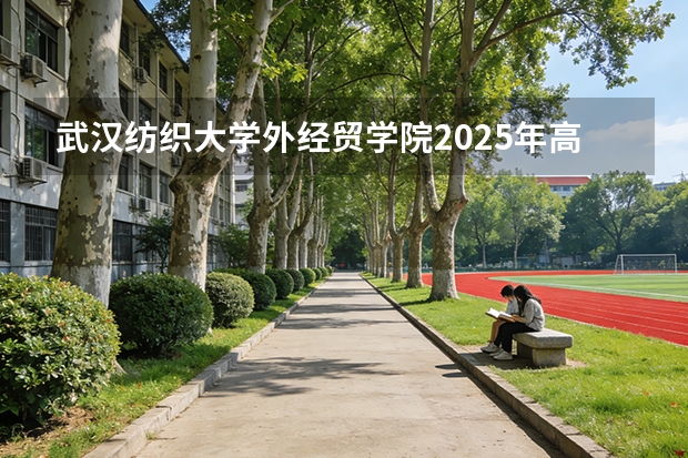 武汉纺织大学外经贸学院2025年高考在贵州艺术类投档分数线