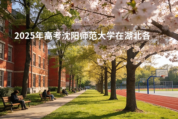 2025年高考沈阳师范大学在湖北各批次选科要求有哪些