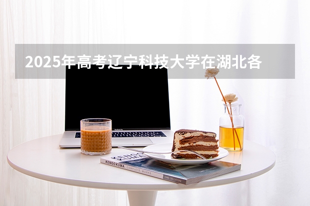 2025年高考辽宁科技大学在湖北各批次选科要求有哪些