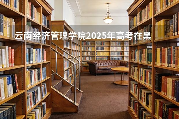 云南经济管理学院2025年高考在黑龙江艺术类投档分数线