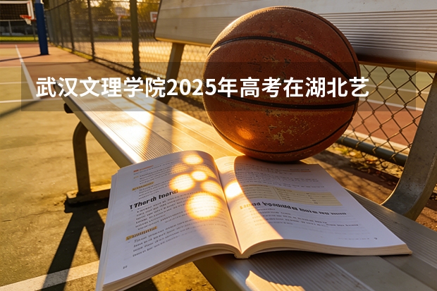 武汉文理学院2025年高考在湖北艺术类投档分数线