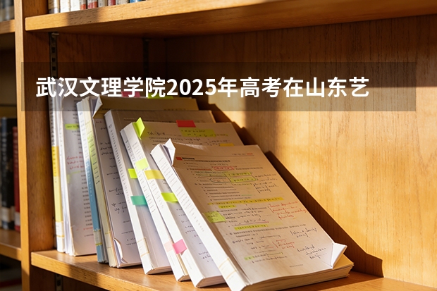 武汉文理学院2025年高考在山东艺术类投档分数线