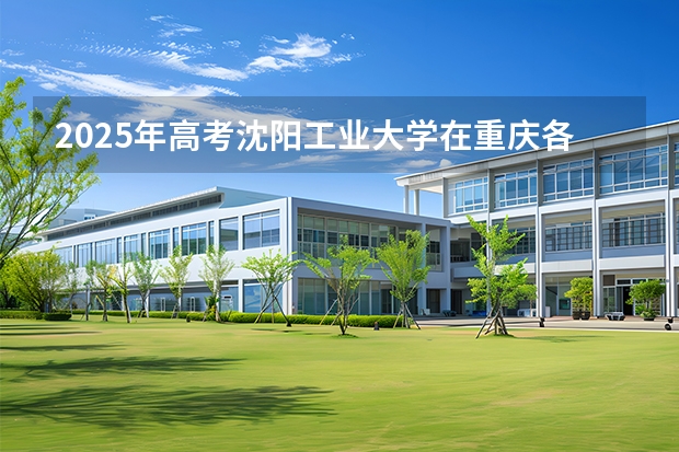 2025年高考沈阳工业大学在重庆各批次选科要求有哪些