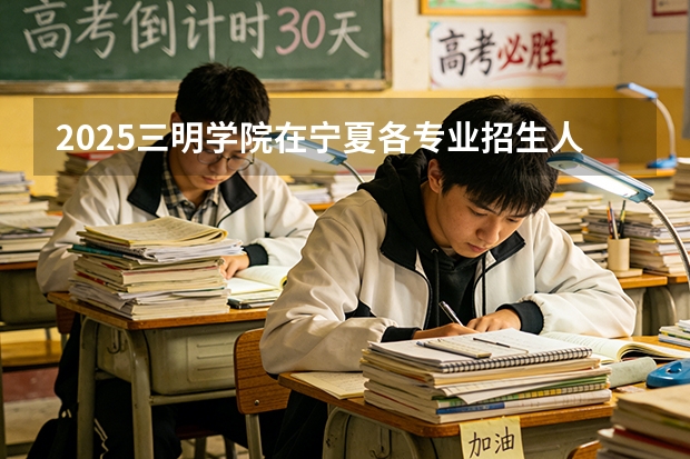 2025三明学院在宁夏各专业招生人数（2026参考）