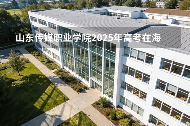山东传媒职业学院2025年高考在海南艺术类投档分数线