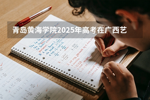 青岛黄海学院2025年高考在广西艺术类投档分数线