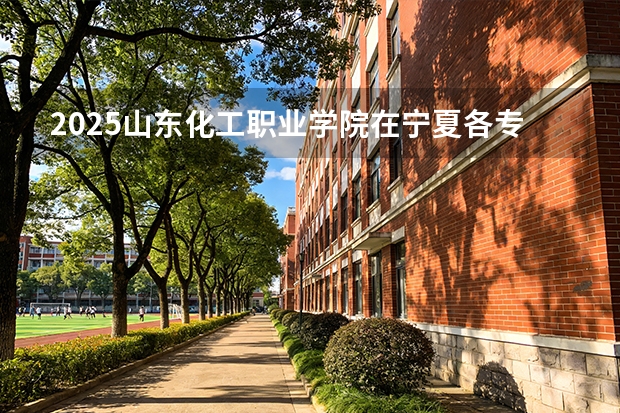 2025山东化工职业学院在宁夏各专业招生人数（2026参考）