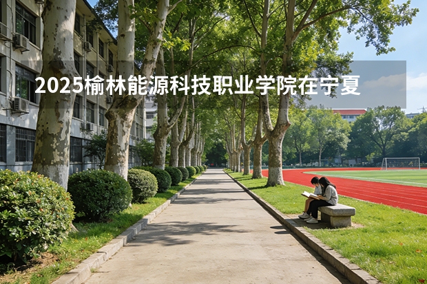 2025榆林能源科技职业学院在宁夏各专业招生人数（2026参考）