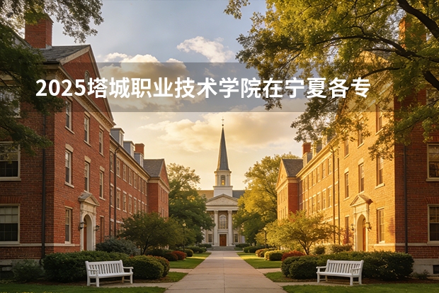 2025塔城职业技术学院在宁夏各专业招生人数（2026参考）