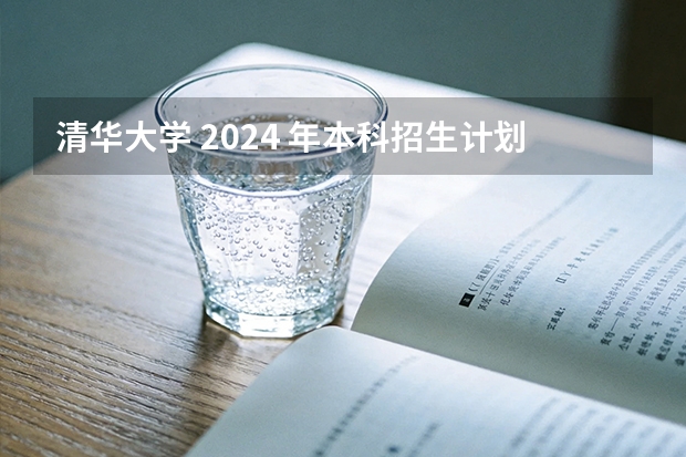 清华大学 2024 年本科招生计划概览